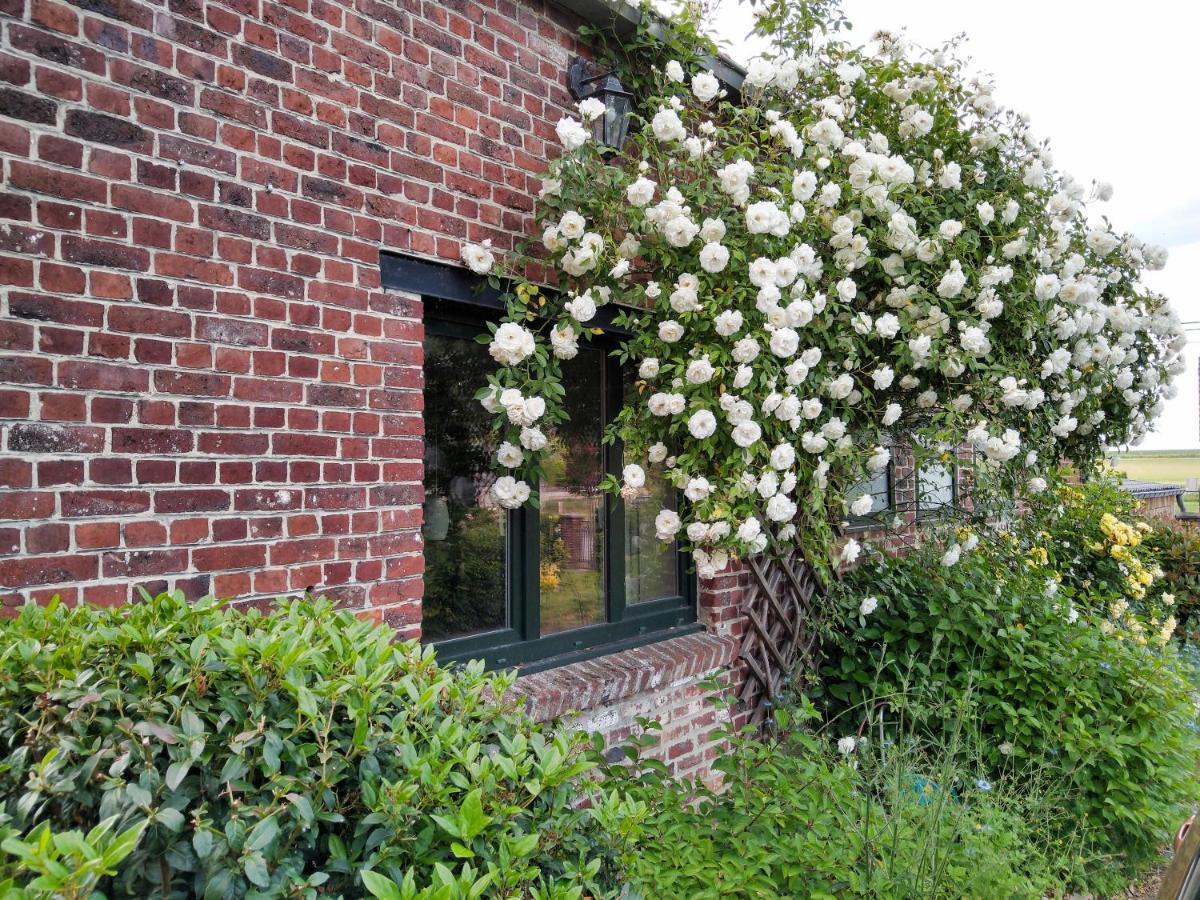 Gite Rural Les Petites Tetes Leuze-en-Hainaut Экстерьер фото