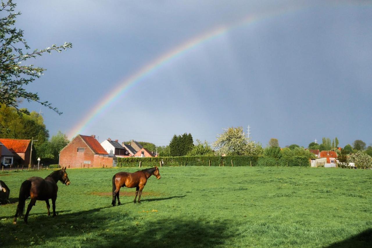 Gite Rural Les Petites Tetes Leuze-en-Hainaut Экстерьер фото