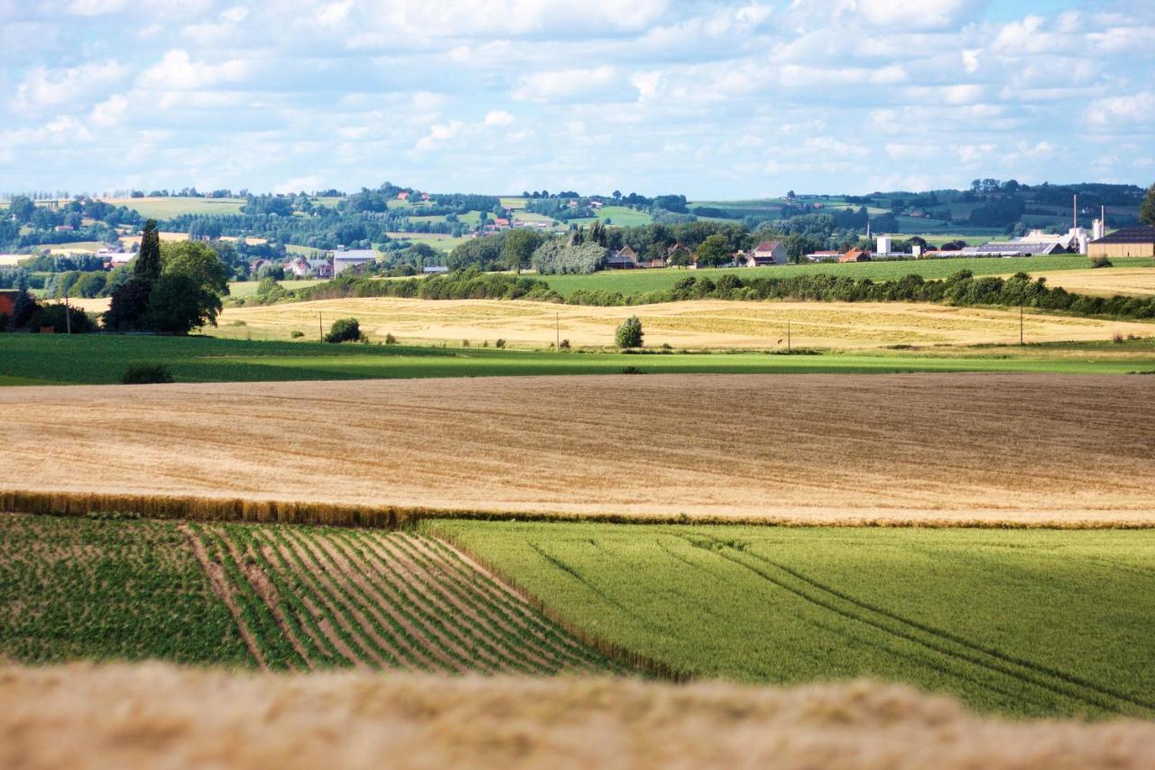 Gite Rural Les Petites Tetes Leuze-en-Hainaut Экстерьер фото