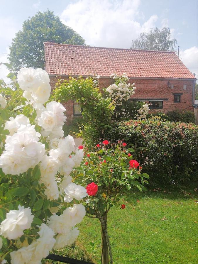 Gite Rural Les Petites Tetes Leuze-en-Hainaut Экстерьер фото